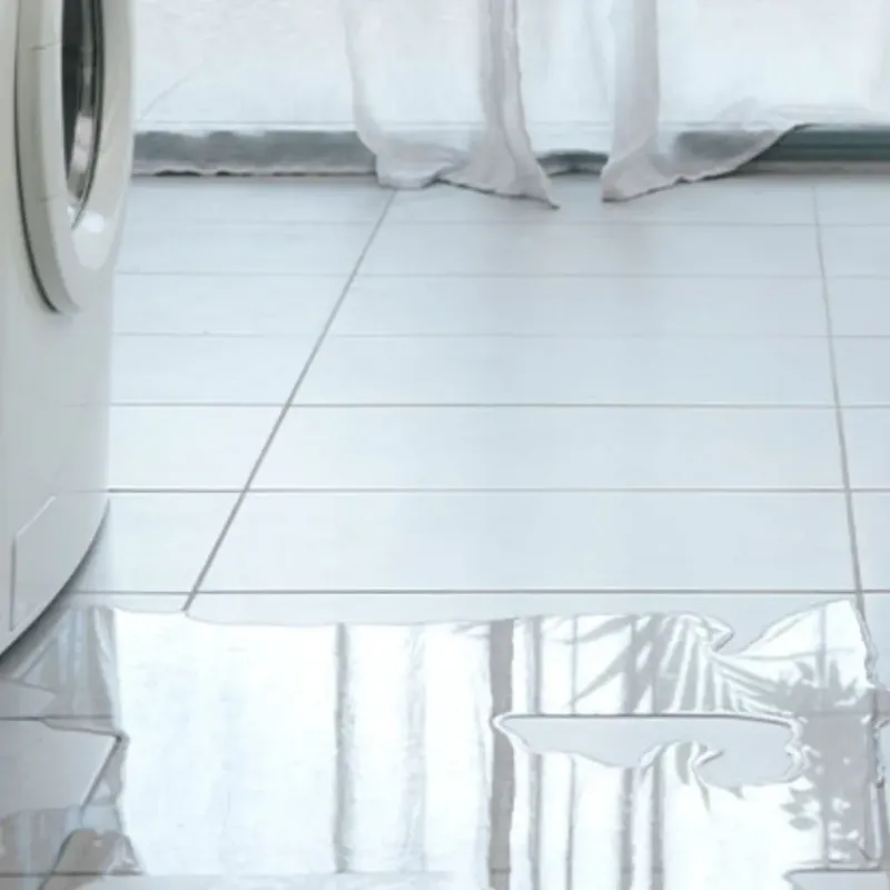 Appliance Leak Cleanup in Campo, CA